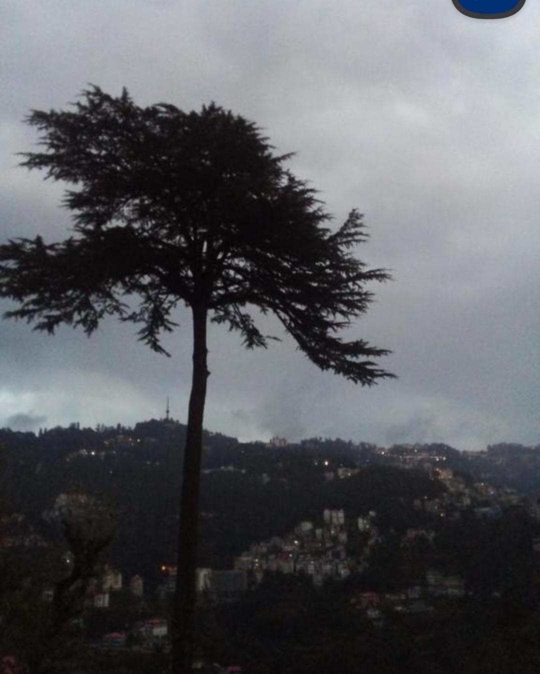 Keshav Niwas Homestay Shimla Eksteriør billede