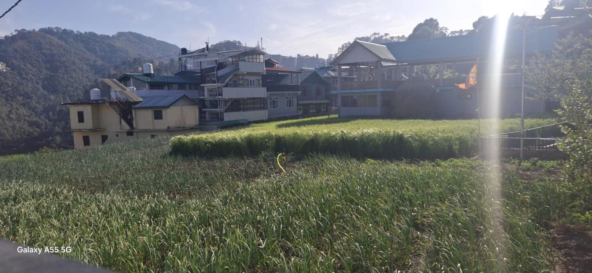 Keshav Niwas Homestay Shimla Eksteriør billede